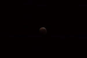 皆既月食　天王星食　221109　3